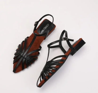 Sandals Summer Low Heel Ankle Strap Buckle Sandals Pointed Toe Hollowed Out T-strap Sandal