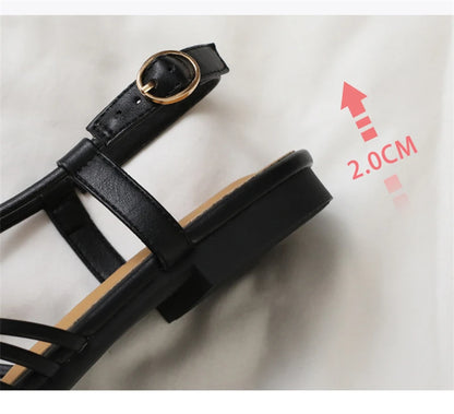 Flat Sandals Summer Narrow Band Roman Shoes Casual Beach Gladiator Sandal