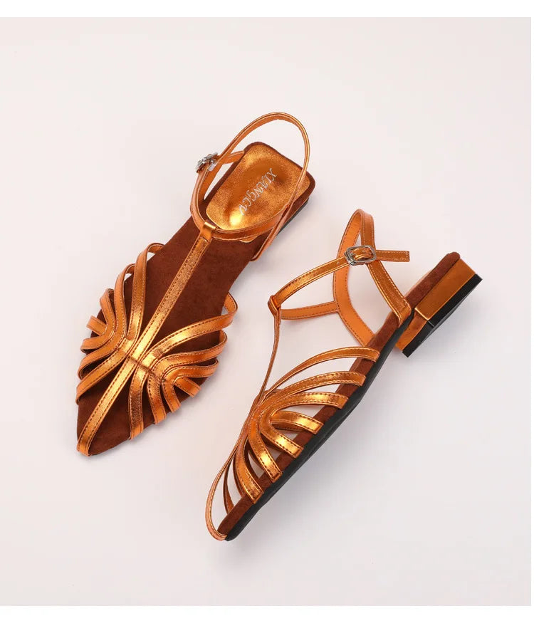 Sandals Summer Low Heel Ankle Strap Buckle Sandals Pointed Toe Hollowed Out T-strap Sandal