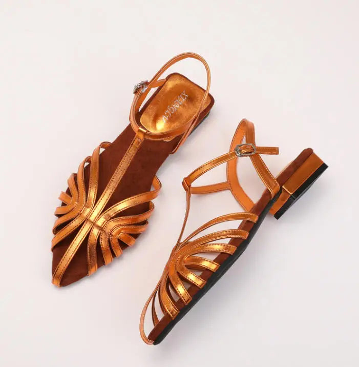 Sandals Summer Low Heel Ankle Strap Buckle Sandals Pointed Toe Hollowed Out T-strap Sandal