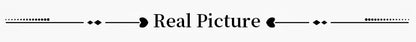 Fashion Floral Lace Fish-bone Patchwork Shirts For Women 2026 Spring New Chic Short Sleeve O-neck Blouse Lady Street Y2K Tops