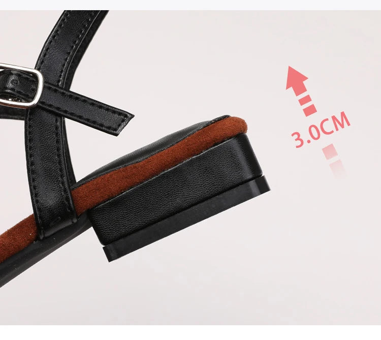 Sandals Summer Low Heel Ankle Strap Buckle Sandals Pointed Toe Hollowed Out T-strap Sandal