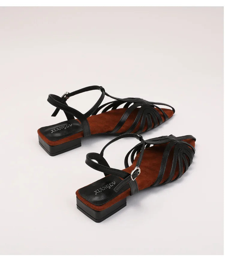 Sandals Summer Low Heel Ankle Strap Buckle Sandals Pointed Toe Hollowed Out T-strap Sandal